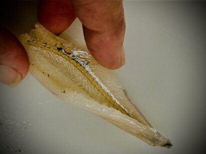 Pan Fried Anchovies - Fish Prep - Step 5