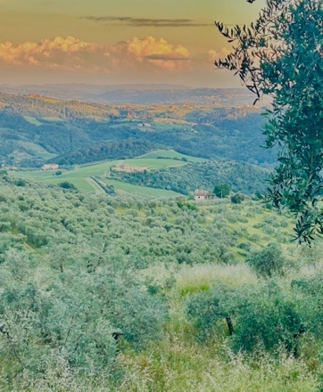 Tuscan Countryside