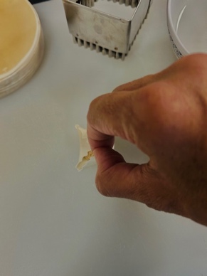 Turkish Manti - Dumplings - Step 12