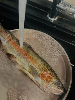 Himalayan Trout Hors D'oeuvre - Prep - Step 2