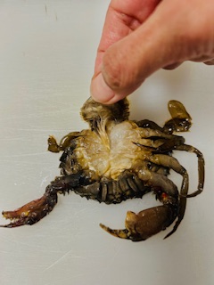 Fried Soft Shell Crab - Prep - Step 6