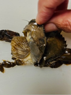 Fried Soft Shell Crab - Prep - Step 9