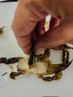 Fried Soft Shell Crab - Prep - Step 14