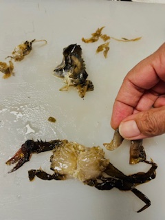 Fried Soft Shell Crab - Prep - Step 16