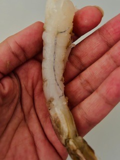Rock Shrimp Tempura - Creamy Spicy Sauce - Step 10