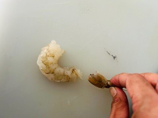 Rock Shrimp Tempura - Creamy Spicy Sauce - Step 13