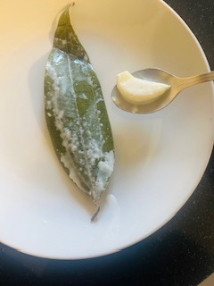 Polenta Fries - Tuna - Step 4