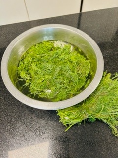 Cured Salmon Mosaic - Salt Cure - Step 8