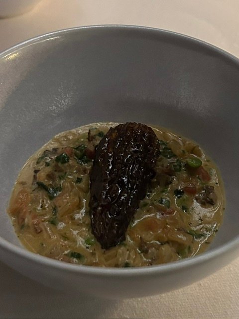 Course 14: Forest Harvest